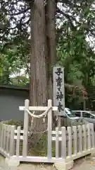 新倉富士浅間神社の自然