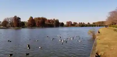 大下稲荷神社(東京都)