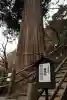 八女津媛神社(福岡県)