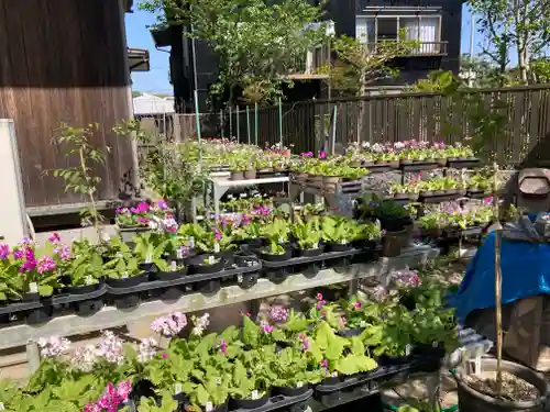 日蓮宗龍口山本龍寺(神奈川県)