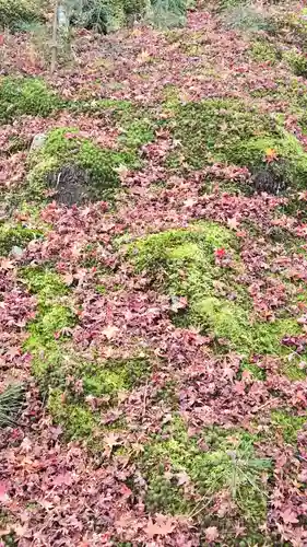 天龍寺(京都府)