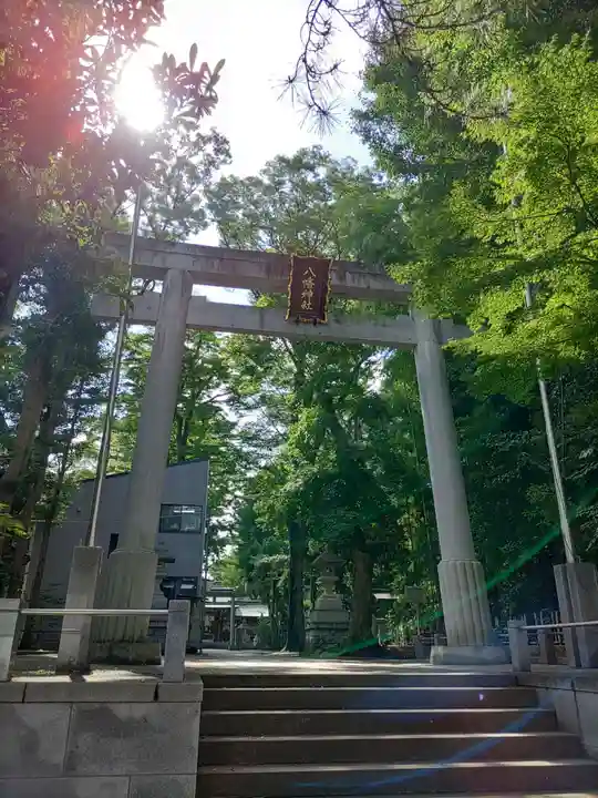 荻窪八幡神社の鳥居