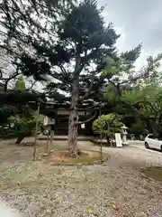 如来寺(石川県)