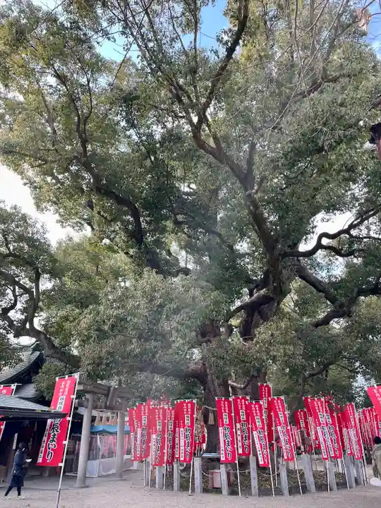 楠珺社(住吉大社末社)(大阪府)