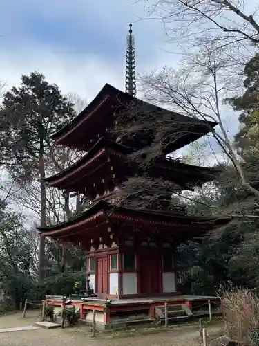 浄瑠璃寺(京都府)