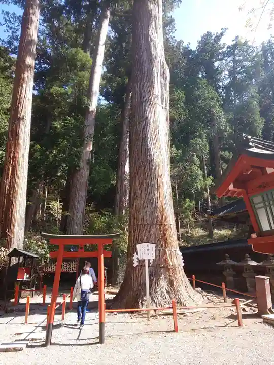 日光二荒山神社の自然