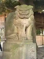 旗岡八幡神社の狛犬