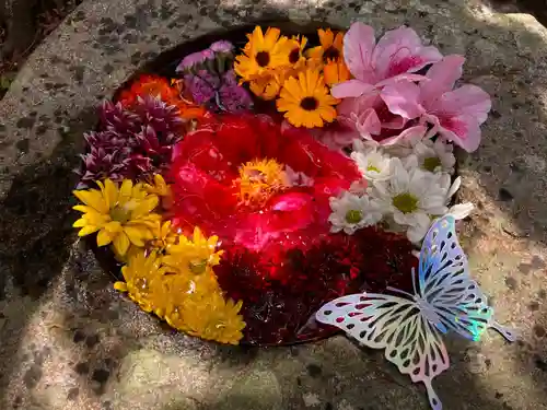 真言宗　善通寺派　薬王寺(香川県)