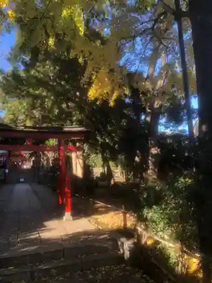 自由が丘熊野神社の鳥居