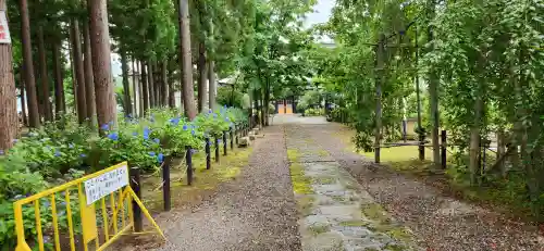 林泉寺の庭園