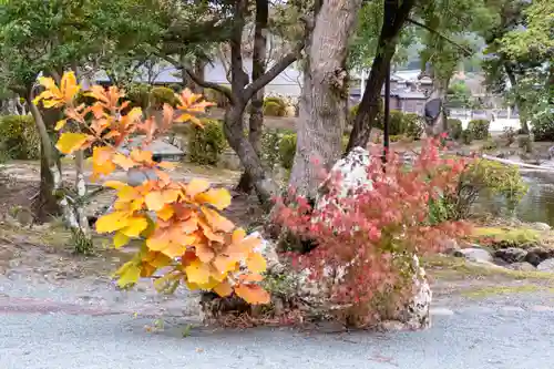 宗像大社(福岡県)