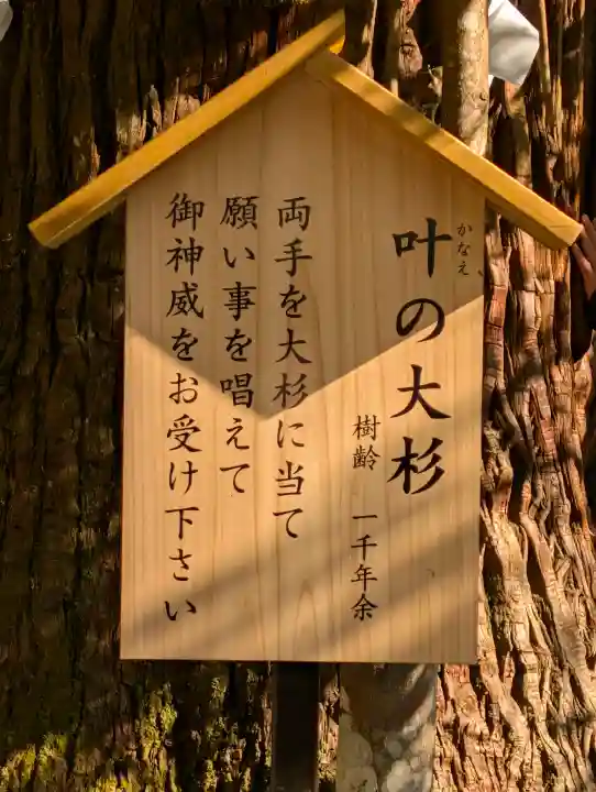丹生川上神社(中社)の{uncategorized: "未分類", other: "その他", undefined: "問題あり", building: "その他建物", grave: "お墓", sacred_gate: "鳥居", guardian: "狛犬", statue: "像", buddha: "仏像", history: "歴史", nature: "自然", garden: "庭園", animal: "動物", pagoda: "塔", temizu: "手水舎", mountain_gate: "山門・神門", sanctuary: "本殿・本堂", subordinate: "末社・摂社", art: "芸術", scenery: "景色", jizo: "地蔵", ema: "絵馬", goshuin: "御朱印", omikuji: "おみくじ", items: "授与品その他", amulet: "お守り", goshuincho: "御朱印帳", eats: "食事", festival: "お祭り", votive_dance: "神楽", shichigosan: "七五三参", wedding: "結婚式", experience: "体験その他", initially: "初詣", around: "周辺", anti_infection: "感染症対策"}