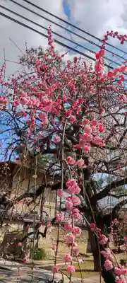 南宗寺(大阪府)