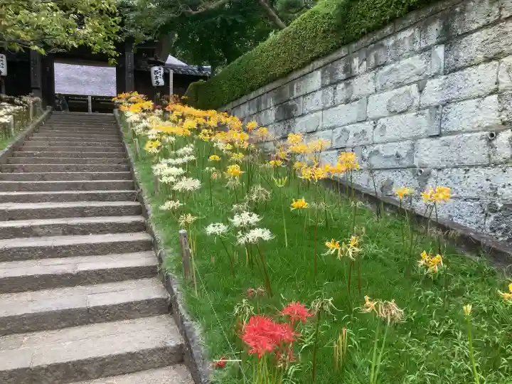 横浜 西方寺(神奈川県)