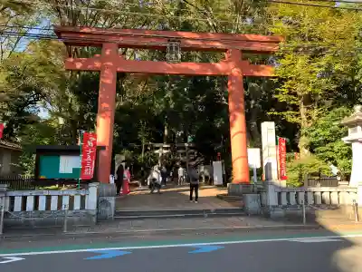 世田谷八幡宮の鳥居