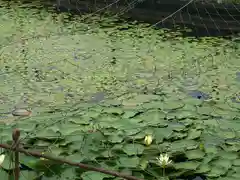 新大佛寺(三重県)