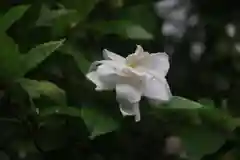 開成山大神宮の庭園