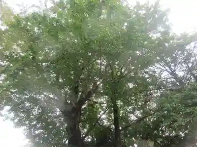 白笹稲荷神社(神奈川県)