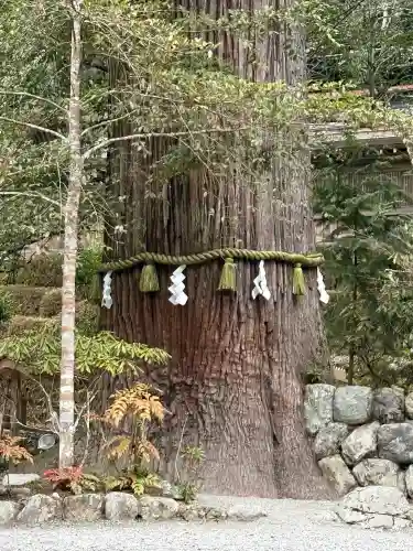 丹生川上神社（中社）(奈良県)