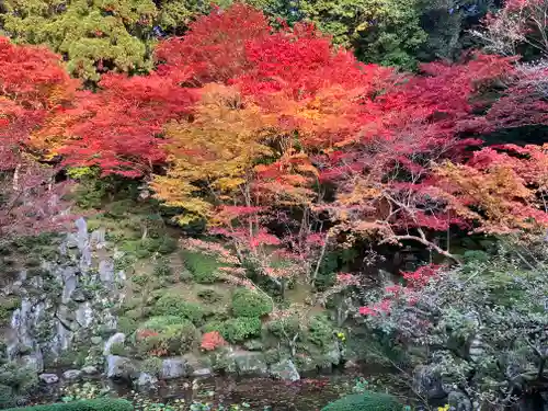 金剛輪寺(滋賀県)