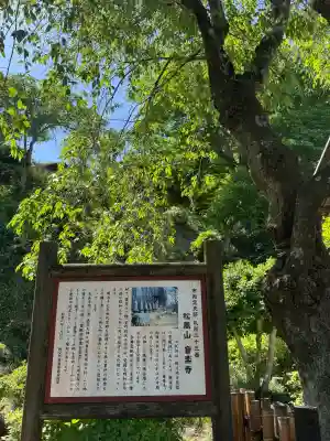 音楽寺の{uncategorized: "未分類", other: "その他", undefined: "問題あり", building: "その他建物", grave: "お墓", sacred_gate: "鳥居", guardian: "狛犬", statue: "像", buddha: "仏像", history: "歴史", nature: "自然", garden: "庭園", animal: "動物", pagoda: "塔", temizu: "手水舎", mountain_gate: "山門・神門", sanctuary: "本殿・本堂", subordinate: "末社・摂社", art: "芸術", scenery: "景色", jizo: "地蔵", ema: "絵馬", goshuin: "御朱印", omikuji: "おみくじ", items: "授与品その他", amulet: "お守り", goshuincho: "御朱印帳", eats: "食事", festival: "お祭り", votive_dance: "神楽", shichigosan: "七五三参", wedding: "結婚式", experience: "体験その他", initially: "初詣", around: "周辺", anti_infection: "感染症対策"}