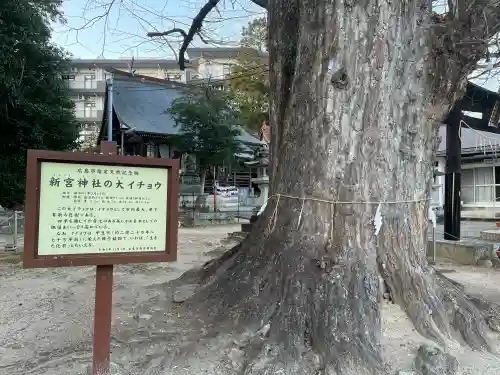 新宮神社(広島県)