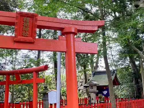 小浜神社(福井県)