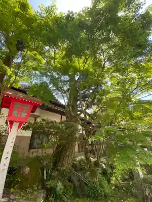 龍泉寺(岡山県)