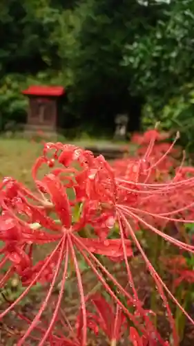 三崎稲荷神社の自然