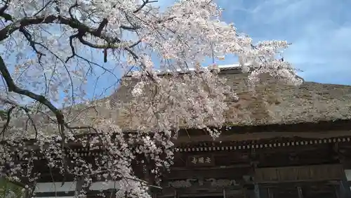 安国寺(京都府)