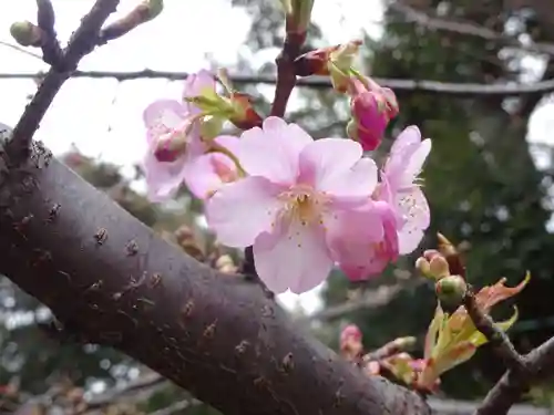 御霊神社の自然