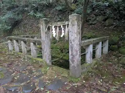 平泉寺白山神社の{uncategorized: "未分類", other: "その他", undefined: "問題あり", building: "その他建物", grave: "お墓", sacred_gate: "鳥居", guardian: "狛犬", statue: "像", buddha: "仏像", history: "歴史", nature: "自然", garden: "庭園", animal: "動物", pagoda: "塔", temizu: "手水舎", mountain_gate: "山門・神門", sanctuary: "本殿・本堂", subordinate: "末社・摂社", art: "芸術", scenery: "景色", jizo: "地蔵", ema: "絵馬", goshuin: "御朱印", omikuji: "おみくじ", items: "授与品その他", amulet: "お守り", goshuincho: "御朱印帳", eats: "食事", festival: "お祭り", votive_dance: "神楽", shichigosan: "七五三参", wedding: "結婚式", experience: "体験その他", initially: "初詣", around: "周辺", anti_infection: "感染症対策"}