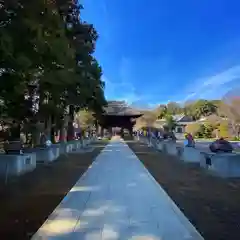 茂林寺の建物その他