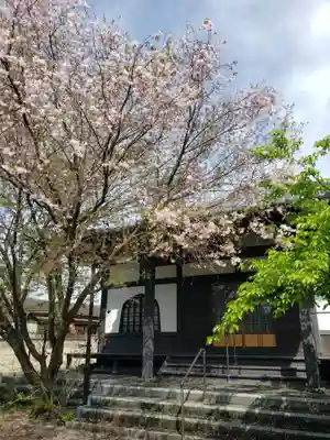 金剛寺の本殿・本堂