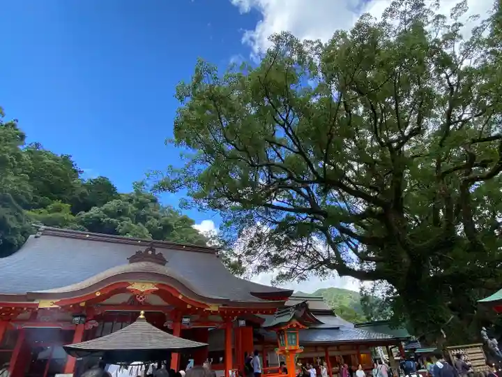 熊野那智大社(和歌山県)