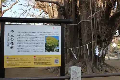 葛飾八幡宮(千葉県)
