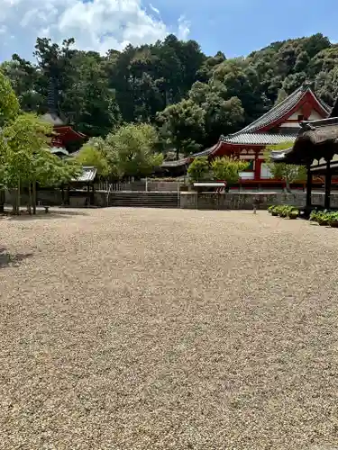 金剛寺(大阪府)