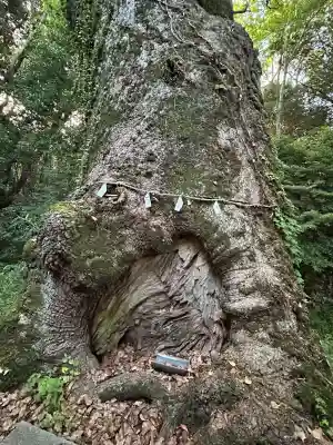 奈良豆比古神社(奈良県)