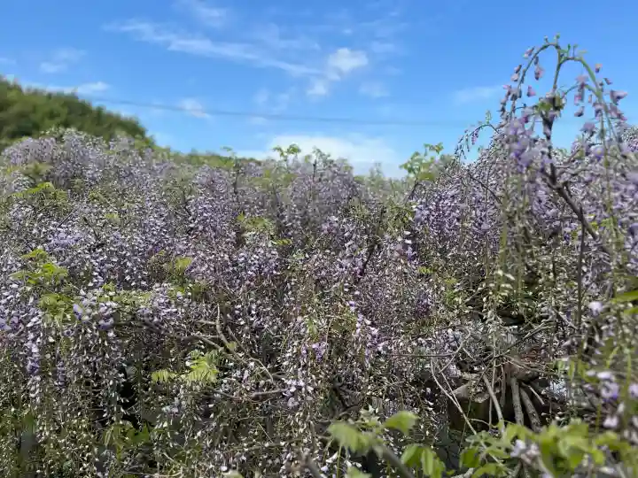 子安地蔵寺の{uncategorized: "未分類", other: "その他", undefined: "問題あり", building: "その他建物", grave: "お墓", sacred_gate: "鳥居", guardian: "狛犬", statue: "像", buddha: "仏像", history: "歴史", nature: "自然", garden: "庭園", animal: "動物", pagoda: "塔", temizu: "手水舎", mountain_gate: "山門・神門", sanctuary: "本殿・本堂", subordinate: "末社・摂社", art: "芸術", scenery: "景色", jizo: "地蔵", ema: "絵馬", goshuin: "御朱印", omikuji: "おみくじ", items: "授与品その他", amulet: "お守り", goshuincho: "御朱印帳", eats: "食事", festival: "お祭り", votive_dance: "神楽", shichigosan: "七五三参", wedding: "結婚式", experience: "体験その他", initially: "初詣", around: "周辺", anti_infection: "感染症対策"}