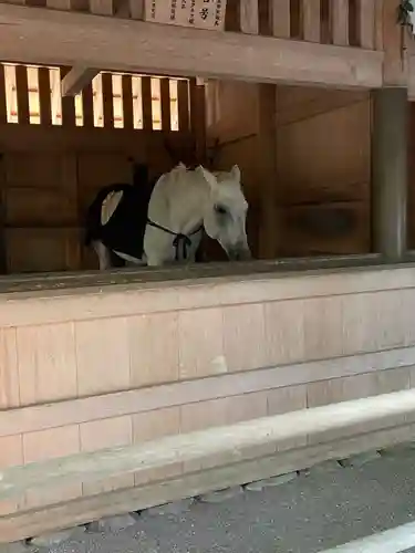 伊勢神宮外宮（豊受大神宮）(三重県)
