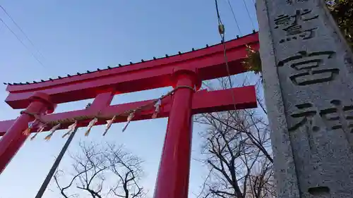 鷲宮神社の鳥居