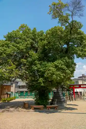 鹿島神社(奈良県)