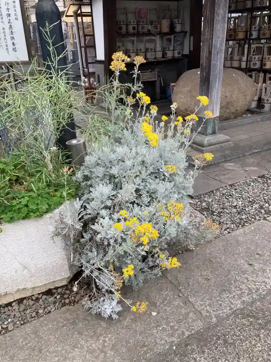 円頓寺(東京都)
