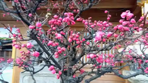 櫛田神社(福岡県)