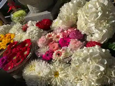 新川皇大神社の手水舎