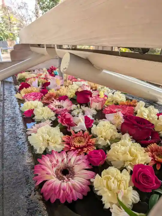 鳩森八幡神社(東京都)