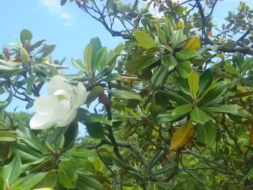 浄光明寺の自然