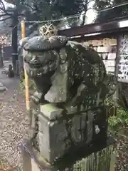 菊田神社の狛犬