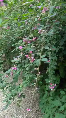 梨木神社(京都府)
