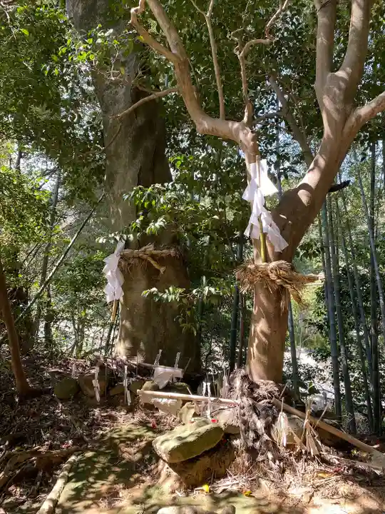 八重垣神社(島根県)